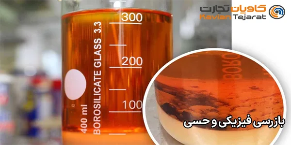 بازرسی فیزیکی و حسی